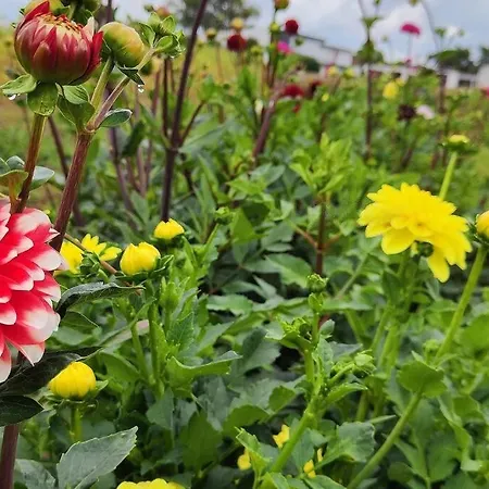 Idyllisches Selfkant Erleben, 90qm Grosse Fuer Ihren Entspannten Aufenthalt Apartamento *